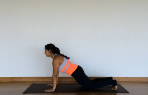 yoga tutorial: plank pose